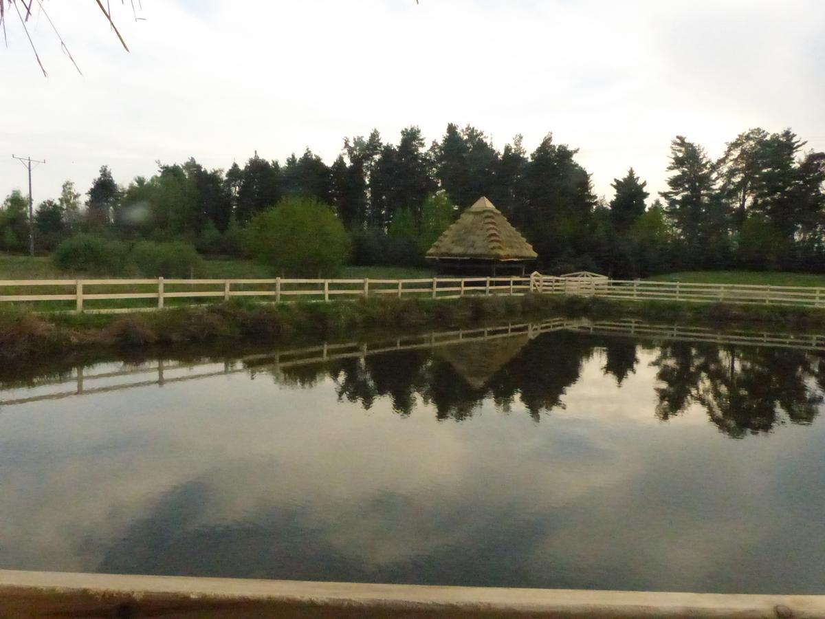 Karczma Goralska Bed & Breakfast Wisznice Eksteriør bilde